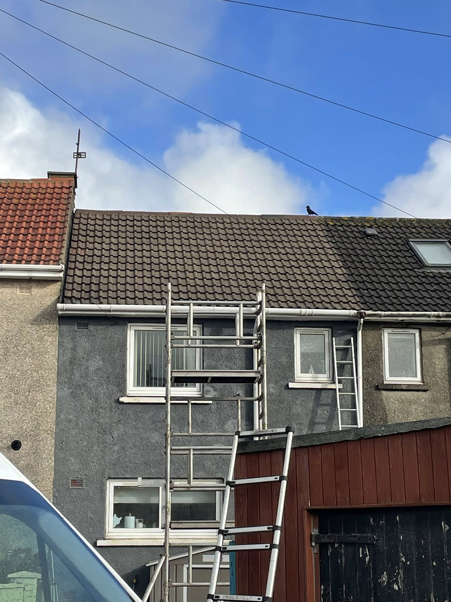 Professional roof and property cleaning — EdiClean Exterior Cleaning
